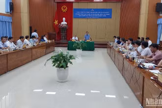 Quang cảnh buổi làm việc.