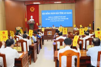 Các đại biểu biểu quyết thống nhất bãi nhiệm chức vụ Chủ tịch Ủy ban nhân dân tỉnh và Phó chủ tịch Ủy ban nhân dân tỉnh.