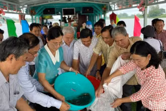 Thả cá xuống búng Bình Thiên.