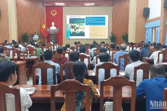 Quang cảnh hội nghị.