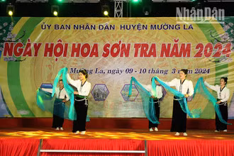 Một tiết mục văn nghệ của đồng bào dân tộc Thái tại ngày hội hoa sơn tra năm 2024 tại xã Ngọc Chiến.