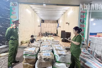 Lực lượng chức năng tiến hành kiểm tra toàn bộ các gian hàng, xe chở rau, củ, quả của các thương lái tại chợ đầu mối bản Mé Ban, xã Chiềng Cơi, thành phố Sơn La.