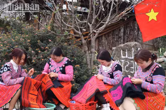 Lên vùng cao đón Tết cùng đồng bào H’Mông 