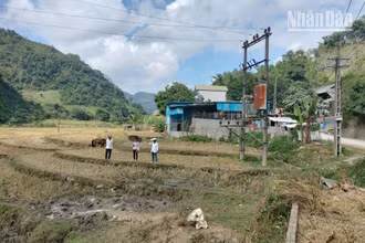 Vị trí xây dựng Cửa hàng xăng dầu có hành lang lưới điện chạy bên trên.