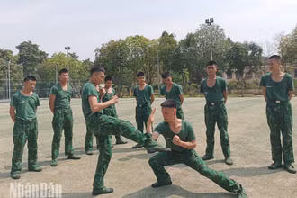 Các tiểu đội thi biểu diễn võ thuật.