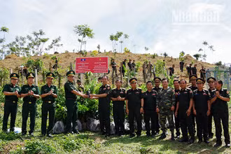 Đại tá Cà Văn Lập, Chính ủy Bộ đội Biên phòng tỉnh Sơn La trao cây giống cho Bộ Chỉ huy Quân sự tỉnh Houaphanh, nước bạn Lào.
