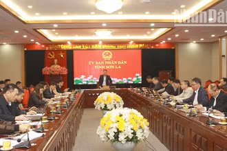 Đồng chí Nguyễn Đình Việt, Phó Bí thư Tỉnh ủy, Chủ tịch Ủy ban nhân dân tỉnh Sơn La chủ trì cuộc họp.