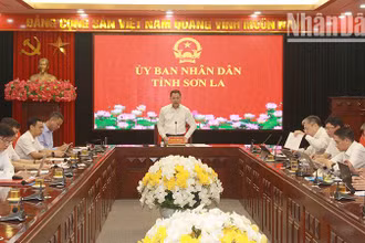 Họp trực tuyến về việc giải quyết những khó khăn, vướng mắc trong thực hiện các dự án bố trí dân cư và các dự án sử dụng nguồn dự phòng ngân sách Trung ương năm 2024.
