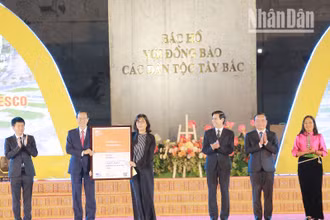 Trưởng ban Giáo dục, Văn phòng UNESCO tại Hà Nội trao chứng nhận "Thành phố học tập toàn cầu" cho Thứ trưởng Bộ Giáo dục và Đào tạo Phạm Ngọc Thưởng. 
