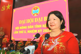 Bà Cao Xuân Thu Vân, Phó Chủ tịch Ban Chấp hành Trung ương Hội Nông dân Việt Nam, phát biểu chỉ đạo Đại hội.