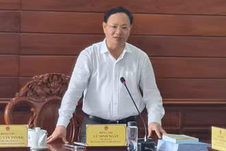 Thứ trưởng Tài nguyên và Môi trường Lê Minh Ngân phát biểu tại buổi làm việc.