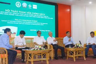 Các chuyên gia, nhà khoa học đề xuất chính sách quản lý rơm rạ.