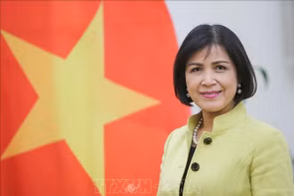  Đại sứ Lê Thị Tuyết Mai. (Ảnh: TTXVN)