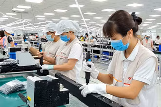 [Video] Sản xuất toàn ngành công nghiệp (IIP) tăng 7,2%
