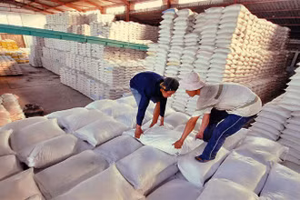 Giá gạo trong nước và xuất khẩu đang tăng mạnh.