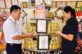 Đầu tư, chế biến sâu các sản phẩm từ dược liệu ở Hợp tác xã Mạnh Hương.