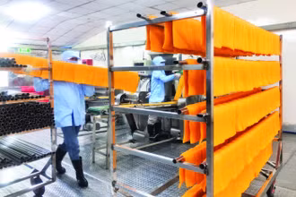 Dưa hấu, thanh long được Công ty Duy Anh chế biến thành bún, phở, bánh tráng để xuất khẩu.
