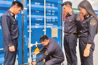 Thực hiện gắn seal định vị điện tử trên container tại Cảng Greenport Hải Phòng.