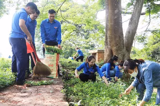 Đoàn viên thanh niên tỉnh Điện Biên dọn dẹp khuôn viên Di tích lịch sử Đồi A1, tích cực tham gia bảo vệ môi trường.
