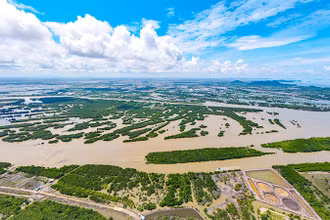 Đất Nhà nước quản lý ở đầm Đông Hồ bị nhiều người lấn chiếm.