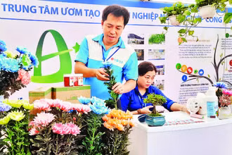 Anh Lê Trung Hiếu và các sản phẩm hoa tươi nhuộm mầu, hoa tươi sử dụng dung dịch ion đồng tại Hội chợ-Triển lãm giống, nông nghiệp công nghệ cao Thành phố Hồ Chí Minh năm 2022.