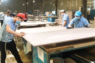 Sản xuất đồ gỗ xuất khẩu tại Công ty cổ phần gỗ Minh Dương (Bình Dương).