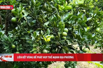 Liên kết vùng để phát huy thế mạnh địa phương