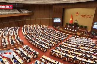 Tập trung phát triển kinh tế xanh, kinh tế tuần hoàn, kinh tế tri thức