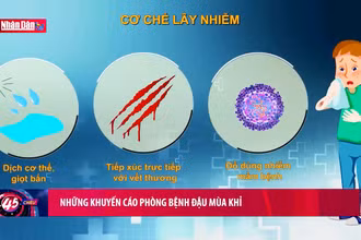 Những khuyến cáo phòng bệnh đậu mùa khỉ