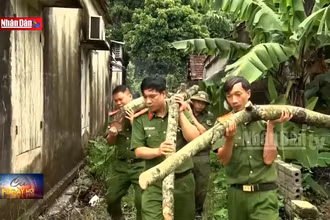 Hà Nam: Công an giúp dân khắc phục hậu quả sau cơn bão số 3