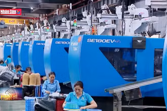 Bắt nhịp sản xuất đầu năm