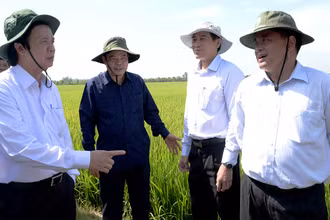 Ðồng chí Nguyễn Văn Danh (ngoài cùng bên trái) trong một chuyến kiểm tra tình hình hạn, mặn tại Tiền Giang.