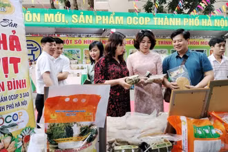 Hà Nội là địa phương có số lượng sản phẩm OCOP dẫn đầu cả nước.