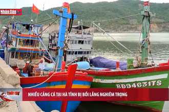 Nhiều cảng cá tại Hà Tĩnh bị bồi lắng nghiêm trọng