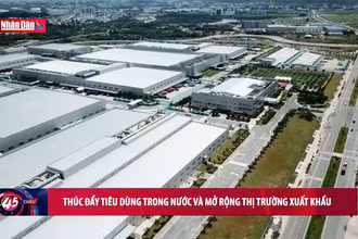 Thúc đẩy tiêu dùng trong nước và mở rộng thị trường xuất khẩu