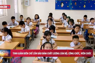 Tinh giản biên chế cần bảo đảm chất lượng cán bộ, công chức, viên chức