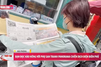 Hải Phòng: Bạn đọc hào hứng với phụ san tranh panorama chiến dịch Điện Biên Phủ