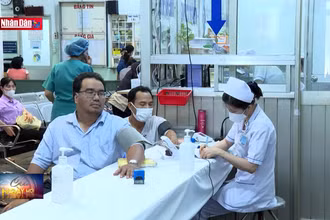 Đề phòng vật nuôi gây bệnh chết người mùa nắng nóng