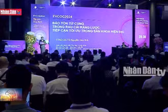 Hội nghị sản phụ khoa Việt Pháp năm 2024