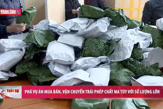 Phá vụ án mua bán, vận chuyển trái phép chất ma tuý với số lượng lớn