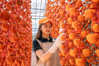 Nông sản từ các tỉnh vùng Tây Nguyên chủ yếu tiêu thụ tại Thành phố Hồ Chí Minh.