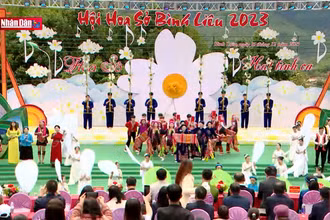 Về Bình Liêu mùa hoa sở trắng