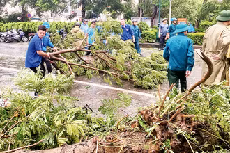 Thanh niên tình nguyện Thủ đô hỗ trợ lực lượng chức năng dọn dẹp cây xanh bị đổ do bão số 3.
