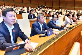 Các đại biểu Quốc hội bấm nút thông qua Luật Căn cước tại kỳ họp thứ 6, Quốc hội khóa XV ngày 27/11/2023. (Ảnh THÀNH VŨ)