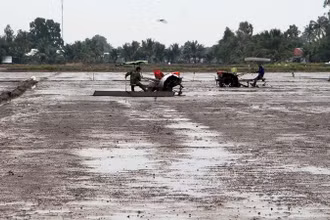 Nông dân xã Xà Phiên, huyện Long Mỹ, tỉnh Hậu Giang làm đất chuẩn bị gieo sạ lúa đông-xuân 2023-2024. (Ảnh TTXVN)