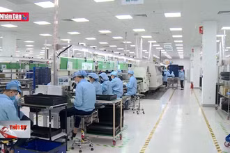 Phát huy vai trò của phụ nữ Việt Nam trong phát triển kinh tế