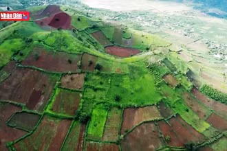 Một ngày khám phá Pleiku