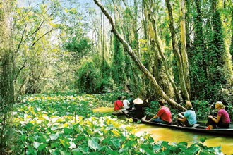 Du lịch khám phá rừng ngày càng được yêu thích. Trong ảnh: Trải nghiệm Khu bảo tồn ngập nước Ðồng Tháp Mười (Long An). (Ảnh LAN PHương)