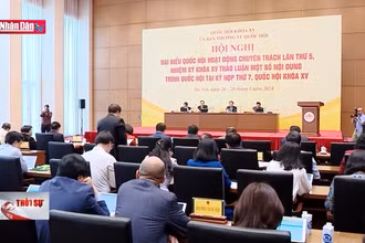 Cân nhắc quy định mở rộng đấu giá biển số xe