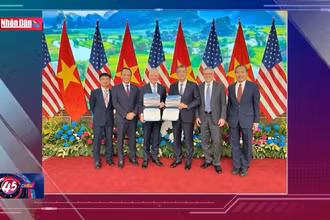 Hợp tác kinh tế, thương mại Việt Nam-Hoa Kỳ: Thêm nhiều hành lang rộng mở